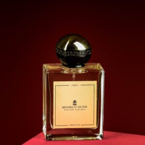 Moonlit Oudh